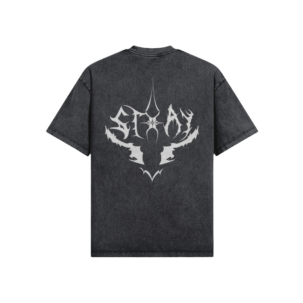 Stray R T-Shirt | Snow Wash Oversized Shirt